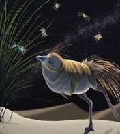 Conheça o dinossauro que tinha hábitos noturnos como os da coruja