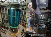 Aquário de 14 m de altura explode em hotel de Berlim, espalhando 1.500 peixes pelas ruas ao redor