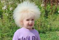 Menina britânica de 3 anos faz sucesso na internet com o “cabelo impenteável”