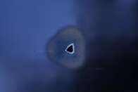 Internautas estão intrigados com “buraco negro” no oceano Pacífico