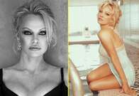 Pamela Anderson faz sucesso no musical Chicago e "trabalha" nas horas vagas como passeadora de cachorros 