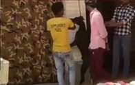 Vídeo revolta internautas ao mostrar homens enforcando e matando cachorro na Índia