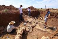 Pela primeira vez, fóssil completo de dinossauro marinho é encontrado na Austrália