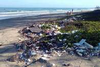 Cientistas confirmam que bactéria é capaz de comer o plástico que contamina os oceanos