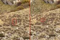 Prova definitiva ou farsa? Vídeo de Pé Grande gravado no Colorado, EUA, causa polêmica