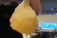 Alerta de tripofobia: restaurante de Cingapura serve ovas cruas de polvo que parecem algo alienígena